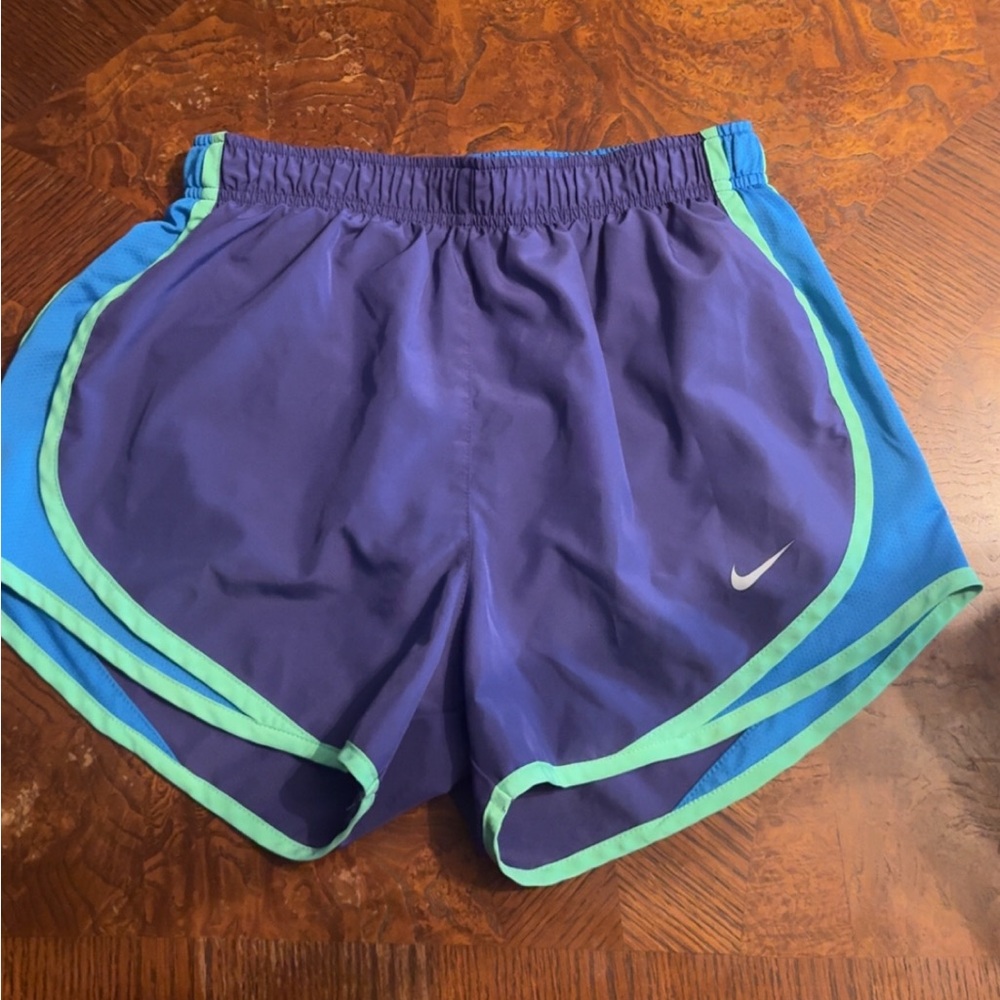 Nike Blue Dri-FIT Shorts